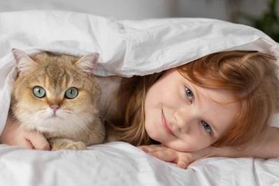 Zwierzęta w łóżku. Czy dziecko może spać z psem lub kotem?