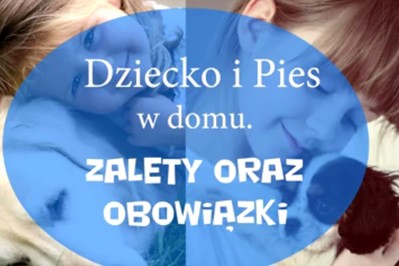 Dziecko i pies w domu - ZOBACZ FILM 