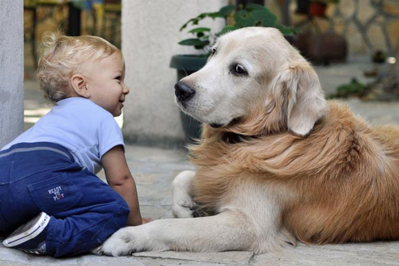 Dzieciństwo z psem dobrze wpływa na rozwój dziecka: FAKT czy MIT?