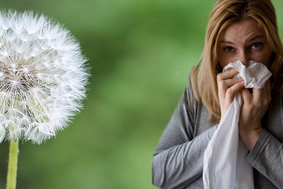 Alergia na pyłki –PORADY EKSPERTA