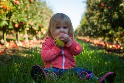 Dieta dla mózgu dziecka – tego nie może zabraknąć na talerzu!