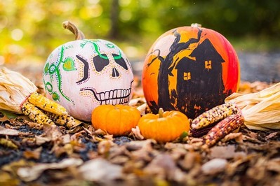 Lampion z dyni: Co zrobić żeby dynia na Halloween nie gniła?