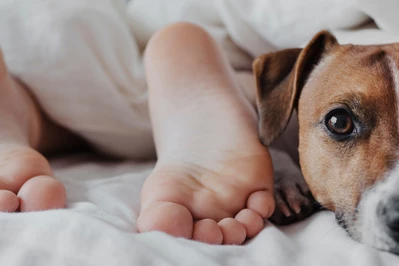 Powody, dla których luksusowy materac to najlepsza inwestycja dla nastolatka