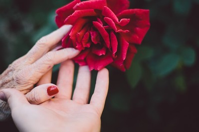 Najpiękniejsze WIERSZE i piosenki na Dzień Babci! ŻYCZENIA i rymowanki