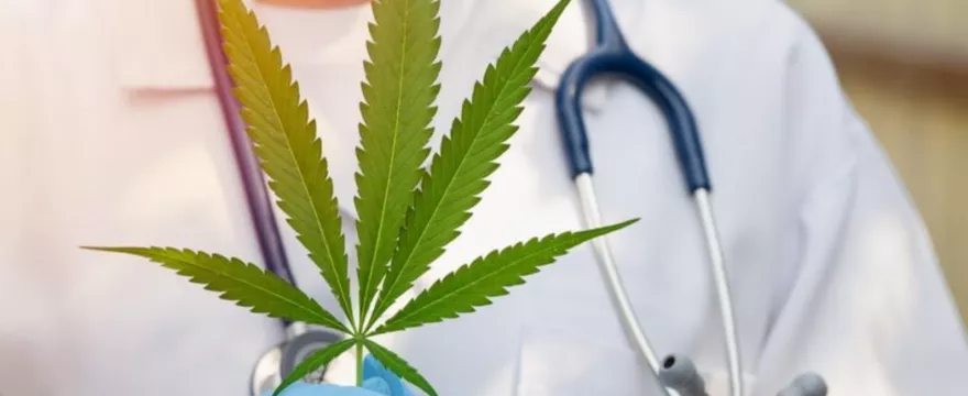 Czy medyczna marihuana pomoże na demencję? Sprawdzamy!
