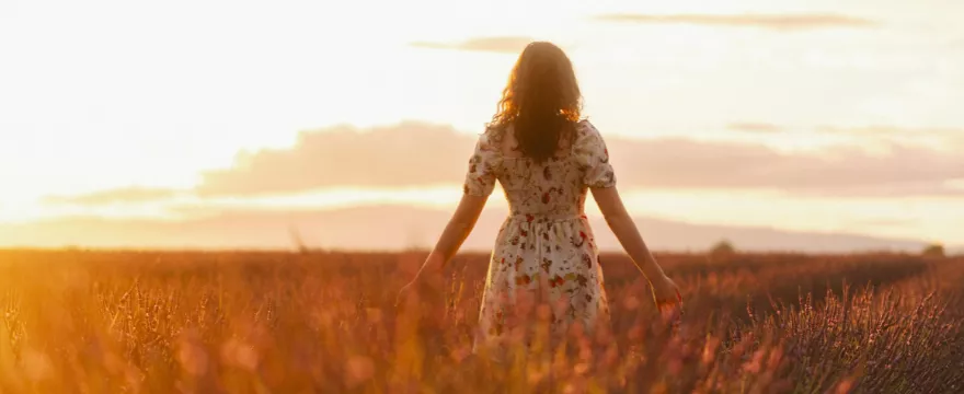 Bylica roczna – naturalne, zdrowe uzupełnienie diety dla układu odpornościowego