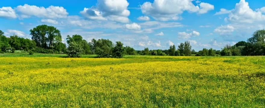 Bon Turystyczny 2025 dla Podlasia