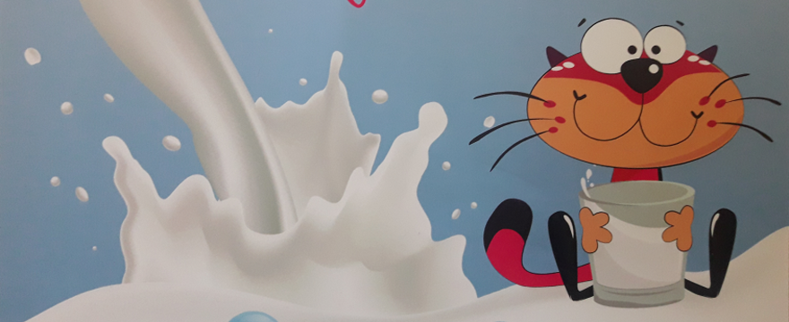 Rodzice małych odkrywców: czy wiecie dlaczego warto mieć kota na punkcie mleka?