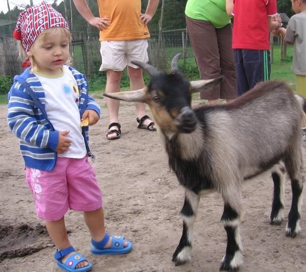 W kadzidłowie - Park Dzikich Zwierząt